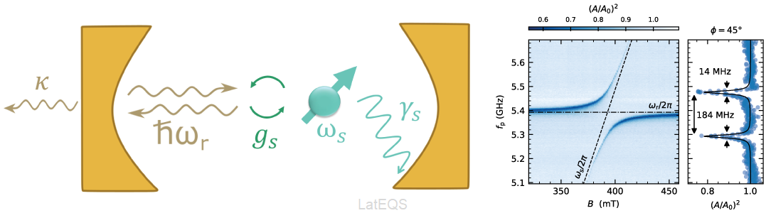 Schematic drawing of a hole spin cQED sample